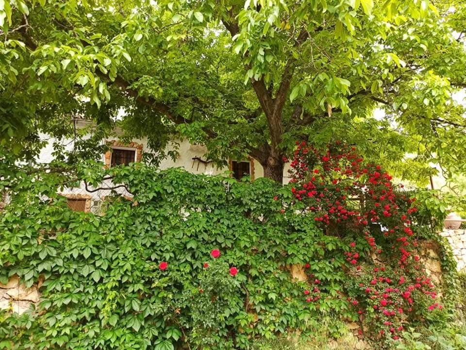Cortijo Ramon Petra Guest House Nerpio Eksteriør bilde